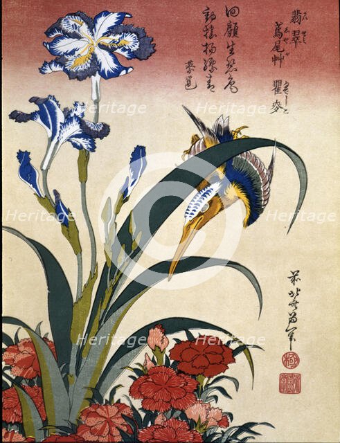 'Japanese Finch', 19th century. Creator: Hokusai, Katsushika (1760 - 1849).