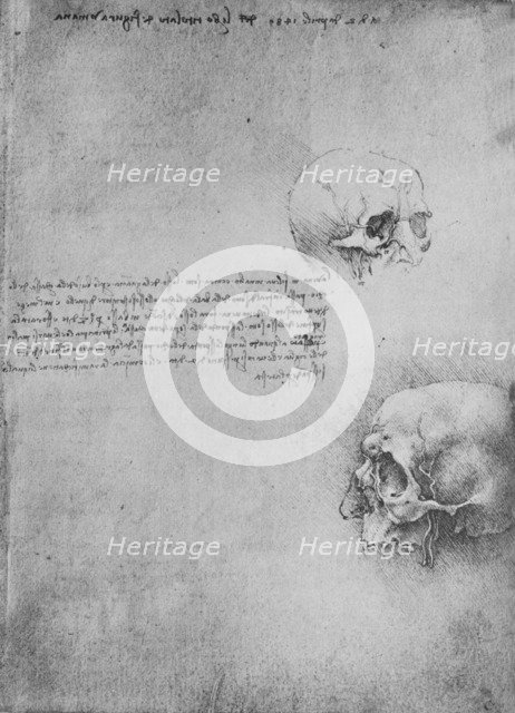 'Two Drawings of the Bony Structure of the Head', c1480 (1945). Artist: Leonardo da Vinci.