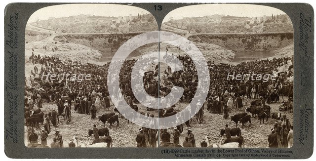Cattle market day, in the lower pool of Gihon, Valley of Hinnom, Jerusalem, Palestine, 1900.Artist: Underwood & Underwood
