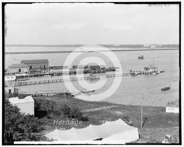 Lake Worth and the Royal Poinciana, Palm Beach, Fla., between 1900 and 1915. Creator: Unknown.