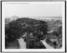 Harbor from Royal Victoria Hotel, Nassau, Bahama Islds., c1901. Creator: William H. Jackson.