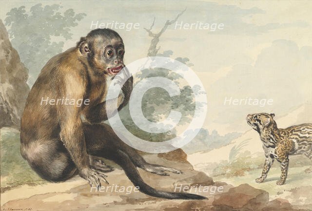 A Monkey Sitting on a Rock Looking at a Civet, 1764. Creator: Aert Schouman.