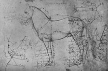 'Measured Drawing of a Horse in Profile to the Left', c1480 (1945). Artist: Leonardo da Vinci.