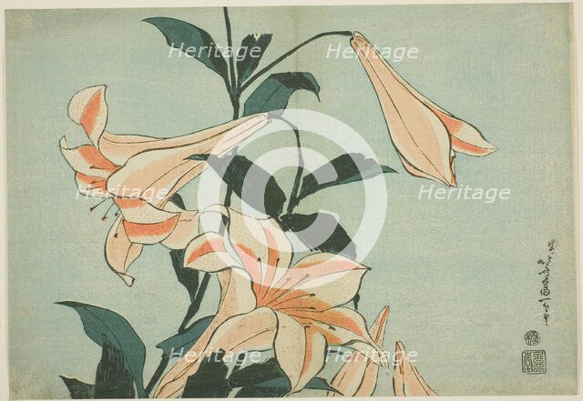 Lilies, from an untitled series of Large Flowers, Japan, c. 1833/34. Creator: Hokusai.