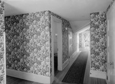 Hall with floral wallpaper, probably in a clubhouse, New York City, between 1900 and 1910. Creator: William H. Jackson.