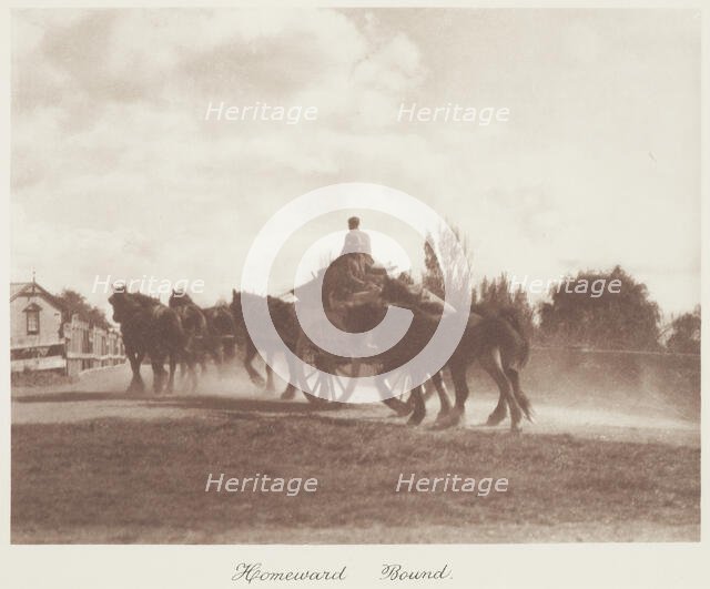 Homeward bound. From the album: Camera Pictures of New Zealand, 1920s. Creator: Harry Moult.
