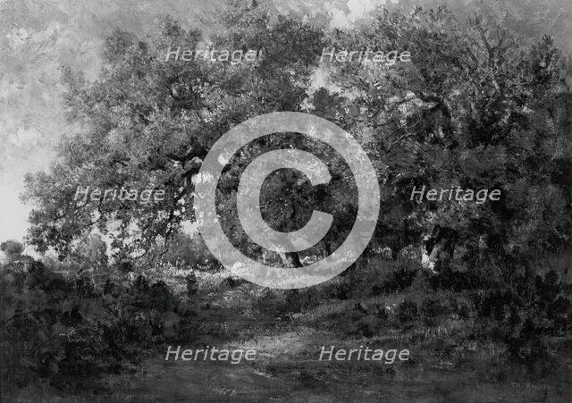 Landscape, c. 1860. Creator: Theodore Rousseau.