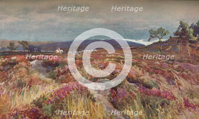 'On The Heath Lytchett Minster', c1904. Artist: Frederick William Newton Whitehead.