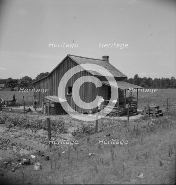 Home of turpentine workers near Godwinsville, Georgia, 1937. Creator: Dorothea Lange.