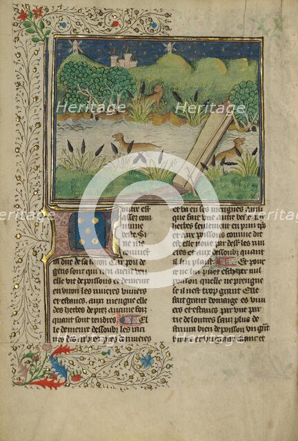 Otters; Livre de la Chasse, about 1430-1440. Creator: Unknown.