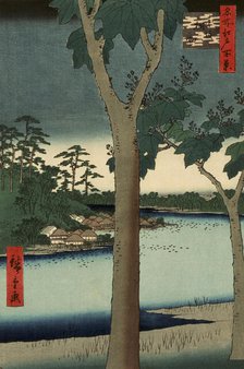 Paulownia Plantation at Akasaka, 1856. Creator: Ando Hiroshige.