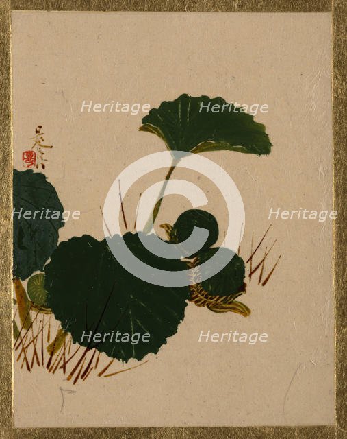 Worm on Green Leaved Plant. Creator: Shibata Zeshin.