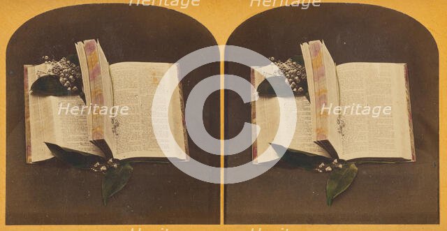 Book opened at two spots, one with book mark string, the other with flowers, about 1870-1880. Creator: Unknown.