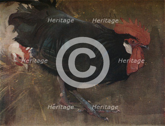 'The Black Cock', c1894. Artist: Joseph Crawhall.