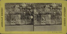 N.Y. City and vicinity. [Posters advertising theaters, businesses on unidentified wall],  1866?. Creator: Unknown.