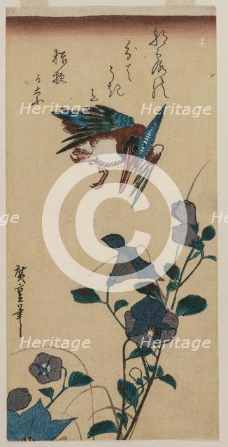 Kingfisher and Chinese Bellflowers, early or mid-1830s. Creator: Ando Hiroshige (Japanese, 1797-1858).