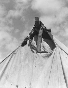 Pea picker's tent near San Jose, California, 1939. Creator: Dorothea Lange.