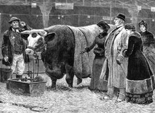 The Pleasure of Success, 1883. Creator: Unknown.