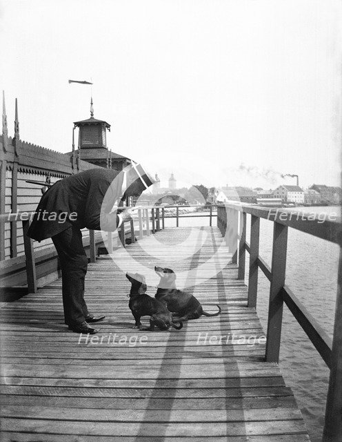 A man scolds his two dachshunds, Landskrona, Sweden, 1910. Artist: Unknown