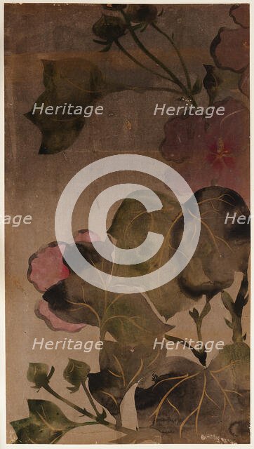 Hibiscus flowers and leaves, Edo period, 1615-1868. Creator: Unknown.