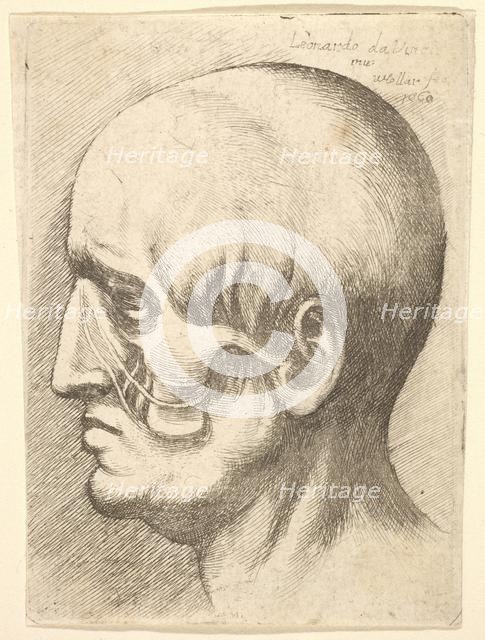 Male head in profile to left with muscles exposed, 1660. Creator: Wenceslaus Hollar.