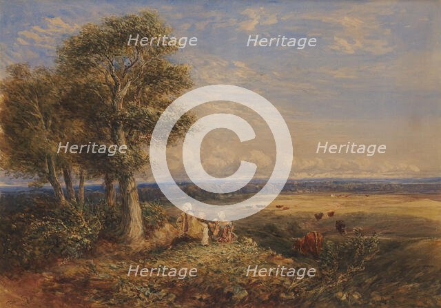 The Skylark, 1848. Creator: David Cox the Elder.