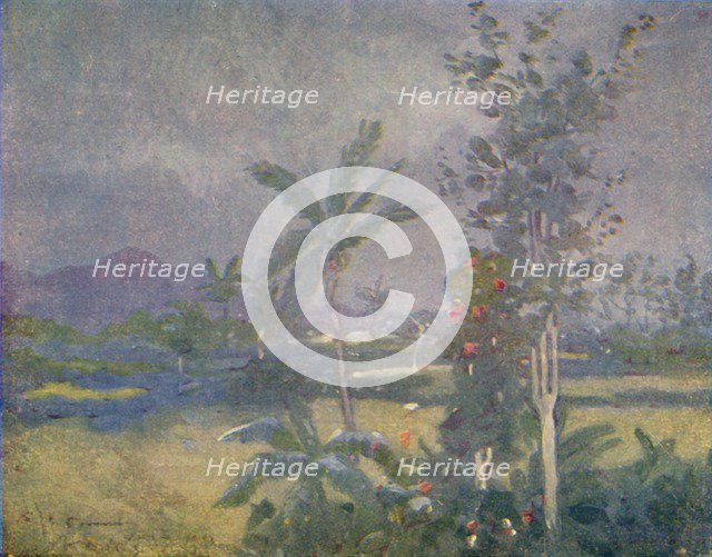 'Tropical Rains in the West Indies', 1924. Artist: Unknown.