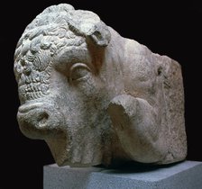 Bull's head Roman sculpture from the Municipal Forum in Merida, 1st century BC. Artist: Unknown