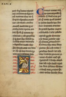 A Stork; De Natura Avium; De Pastoribus et Ovibus, On the Soul, 1277 or after. Creator: Unknown.