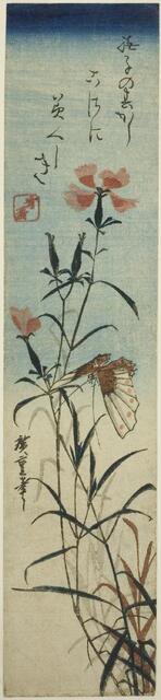 Butterfly and pinks, mid-1840s. Creator: Ando Hiroshige.