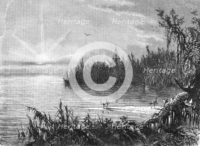 'Scene upon the St. John's, Florida; A Flying Visit to Florida', 1875. Creator: Thomas Mayne Reid.