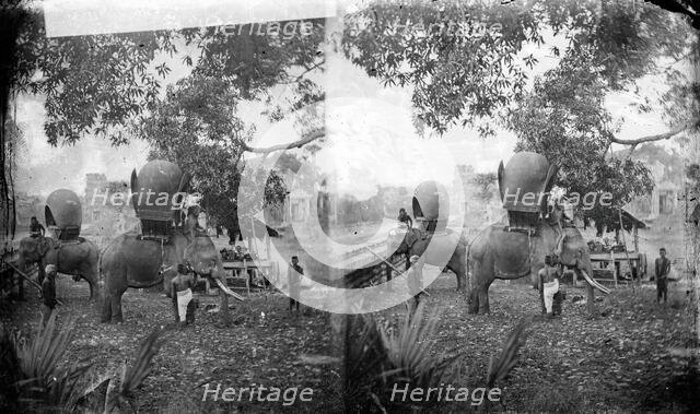 Cambodia: elephants outside Angkor Wat, 1865. Creator: John Thomson.