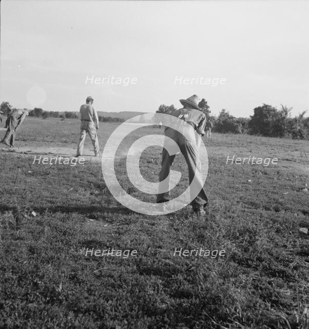 Farmers' baseball game in the country..., near Mountain Home, northern Arkansas, 1938. Creator: Dorothea Lange.