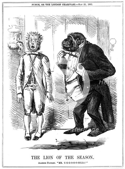 'The Lion of the Season', 1861. Artist: John Leech