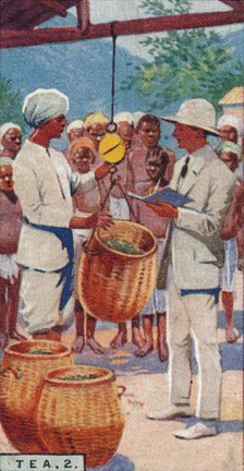 'Tea, 2. - Weighing the Pickings, Ceylon', 1928. Artist: Unknown.