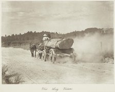 The log team. From the album: Camera Pictures of New Zealand, 1920s. Creator: Harry Moult.