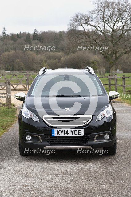 2014 Peugeot 2008 Hdi Feline Artist: Unknown.