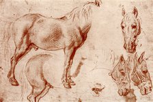 Studies of Horses, 1913.Artist: Peter Paul Rubens