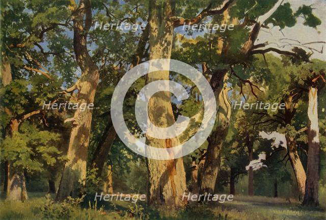 'Oak Trees at Eventide', 1887, (1965). Creator: Ivan Shishkin.