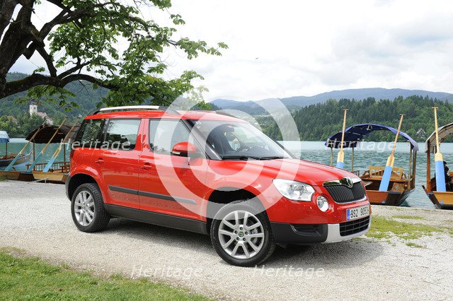 Skoda Yeti 2009. Artist: Simon Clay.