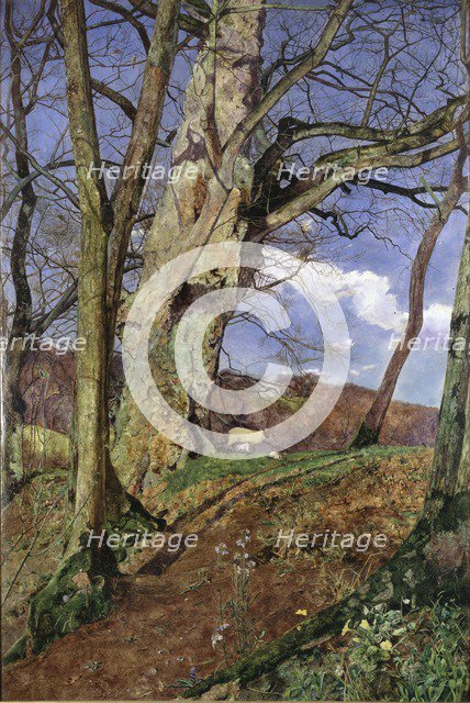 A Study, in March, exhibited 1855. Artist: John William Inchbold.