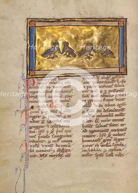 Two Pairs of Doves; Bestiary, about 1270. Creator: Unknown.