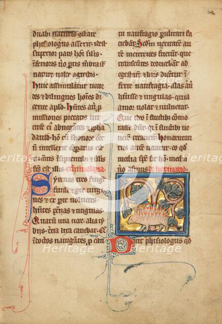 A Hedgehog; De Natura Avium; De Pastoribus et Ovibus; Bestiarium, 1277 or after. Creator: Unknown.
