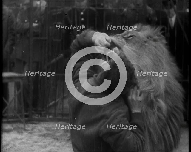 Man Sticking his Head in a Lion’s Mouth, 1930s. Creator: British Pathe Ltd.