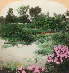 'Lily Pond, Tower Grove Park, St. Louis, Mo., U.S.A.', 1897. Creator: BL Singley.