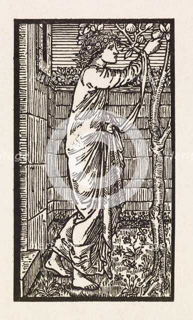 Cupid and Psyche - Psyche in Cupid's Garden, 1880. Creator: GF Campfield.