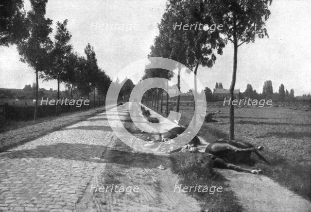 'Le Champ de Bataille; Sur la chausse pavee de Diest a Haelen', 1914. Creator: Meurisse.