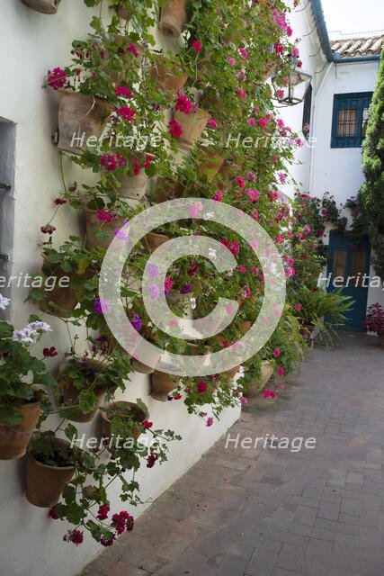 One of the 12 Gardens at the Renaissance Palacio de Viana, Cordoba, Spain, 2023. Creator: Ethel Davies.