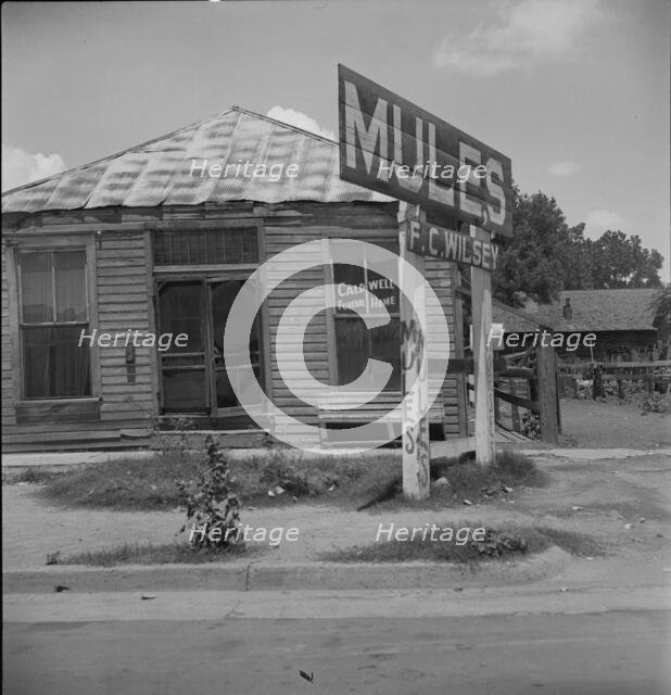 Services for Negroes in a Mississippi Delta town, Leland, Mississippi, 1937. Creator: Dorothea Lange.