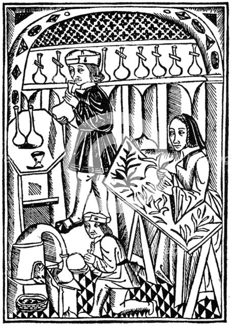 Illustration from Le Proprietaire des Choses, 1500 (1964). Artist: Anon